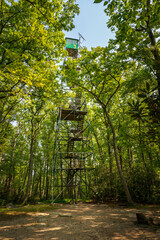 Historic Fire Tower 9 Cook Forest State Park,Pennsylvania