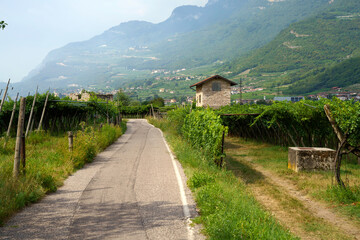 Landscape along the Adige cycleway