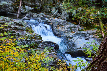 Yellow foliage and rocks surround river with cascading waterfalls in New York