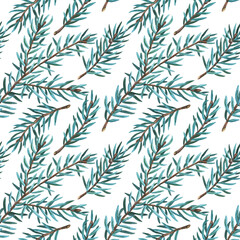 Watercolor seamless pattern with branches of Christmas tree on white background. 