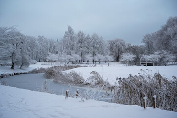 Winter landscape. View of frozen river and covered in snow trees.