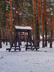 bench in the park