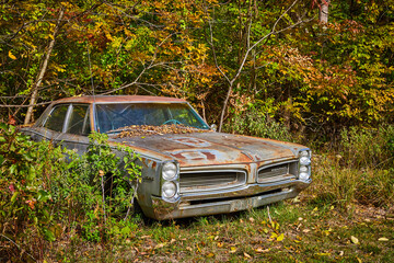 Rusted Pontiac car from side set in forest with fall leaves around