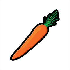 Carrot Vegetable Illustration