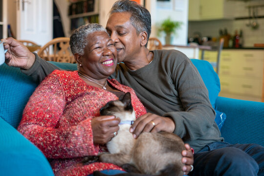 Senior couple with cat sitting on sofa