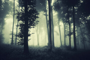 dark forest in fog, fantasy landscape