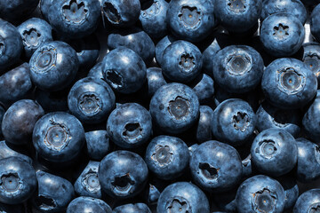 background of many blue blueberries top view