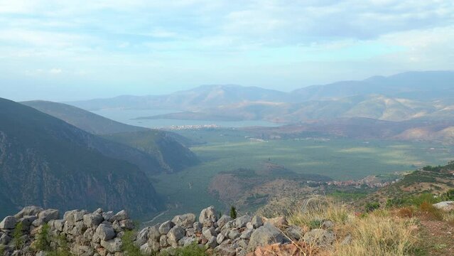 Olive Grooves near the Ancient City of Delphi with Itea Port in Distance