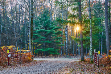 Dirt road into parking area in late fall with gates and golden sun through trees