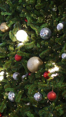 Obraz na płótnie Canvas Closeup of Christmas tree background.
