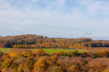 Colorful Autumn landscape of the terrain hilly countryside, Small houses on hillside with sunlight in morning, Gulpen-Wittem is a village in southern of the Dutch province of Zuid-Limburg, Netherlands