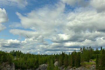 Clouds in the sky over the forest. High quality photo
