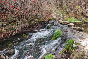 Blurred image. Flowing water in the creek in autumn