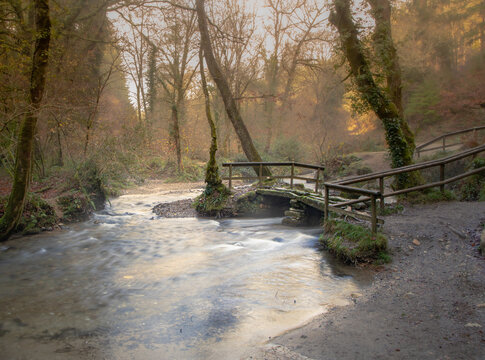 A Picturesque Scene Of A Stream In Woodlands Located At Cardinham Woods, Cornwall, UK