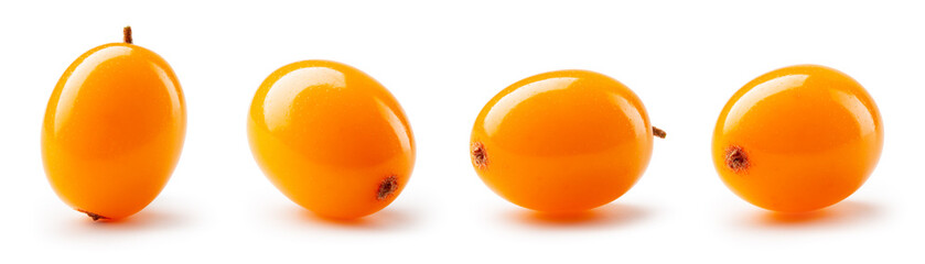Buckthorn isolated. Sea buckthorn collection on white background. Buckthorn berries set with clipping path. Full depth of field. © MarcoFood