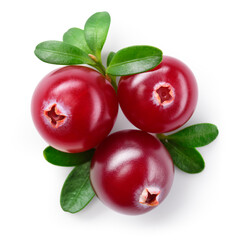 Cranberry isolated. Cranberry berries with leaves on white background. Three cranberries top view. With clipping path. Full depth of field.
