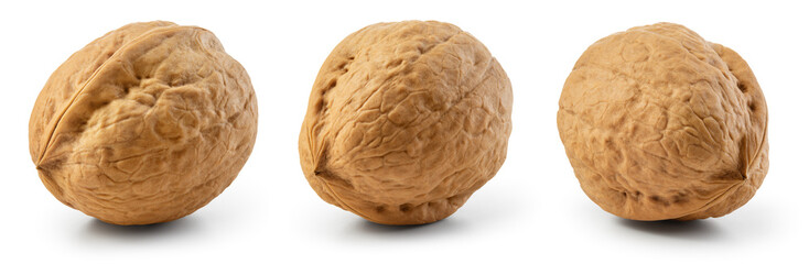 Walnut isolated. Unpeeled walnut set on white background. Walnuts collection. With clipping path. Full depth of field.