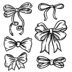 Beautiful hand drawn ribbon decorative bows set vector illustration