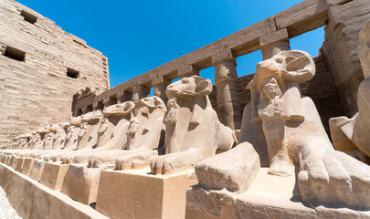 statues of many sheep in the Karnak temple in Luxor in Egypt