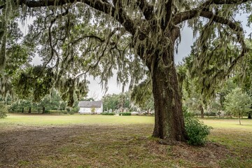 st. simons