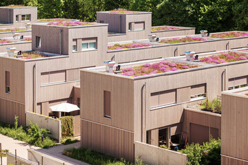 Rooftop Garden with Flowers, Modern Eco Buildings with Gardening Roof, Eco City Concept in Germany