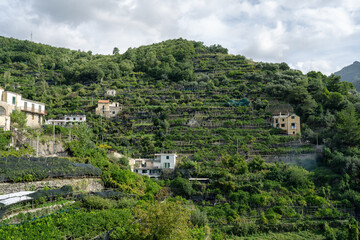 Fototapeta na wymiar Terraces Carved into the Mountainside by Homes to Grow Lemons on the Amalfi Coast of Italy