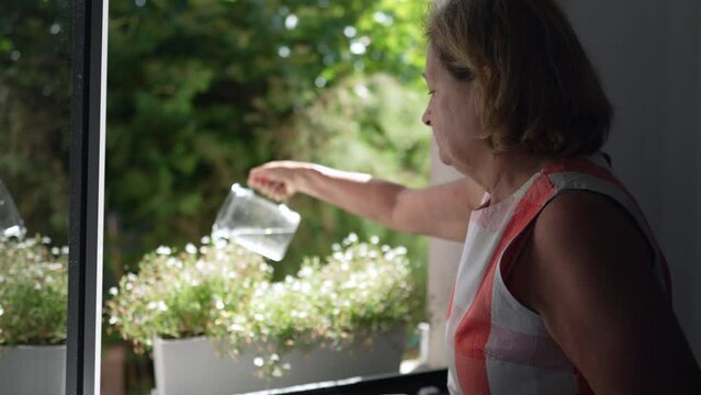 One Senior Woman Pouring Water Into Plants By Window At Home. Domestic Life Of A Mature Older Female Person Taking Care Of Plant. Watering Gardening Concept