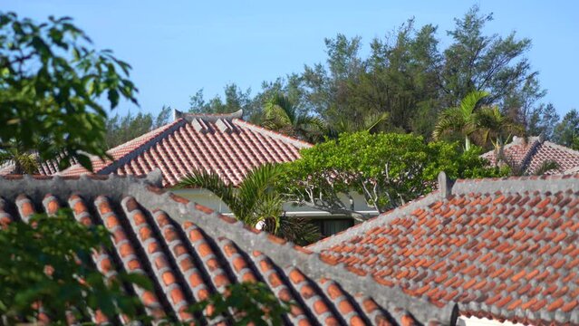沖縄の風景（沖縄赤瓦の家並み）Houses in Okinawa, JAPAN