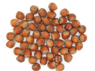 Hazelnut on white background. Fresh filbert.
