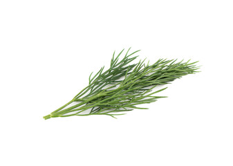 The top of a branch of fresh dill lies on a white background.