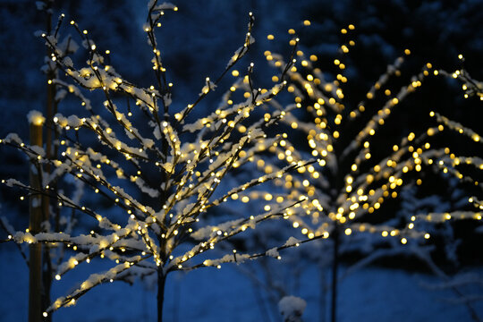Weihnachtliche Lichter im Park am Abend beim Eindunkeln