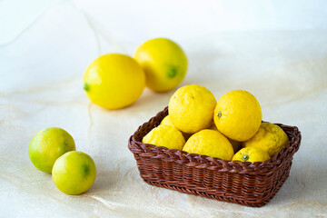 柑橘類　大きなレモンとライムとハナユズ