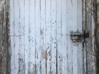 Old Wooden Door