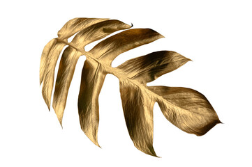 Golden tropical leaf PNG on transparent background Abstract monstera leaf decoration design, PNG	