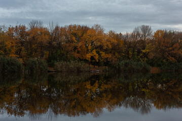 autumn evening landscape of trees in the reflection of the river. gold autumn