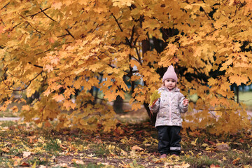 Golden autumn, little girl holding orange foliage, autumn.