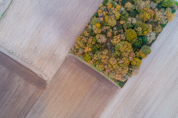 overhead drone aerial view of an oak forest and agricultural fields