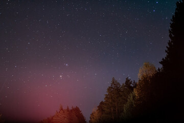 Starry sky and many bright stars, trees in the foreground.