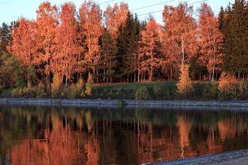 Autumn landscape, orange forest is reflected in the water.