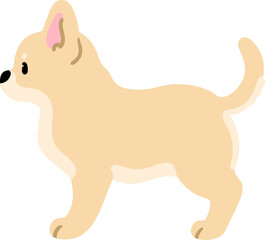 Simple and cute illustration of cream colored Chihuahua in side view flat colored