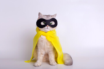 A sly white cat with green eyes, wearing a yellow raincoat and a black mask, on a white background.