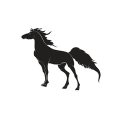 Obraz na płótnie Canvas Black Stallion PNG