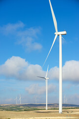Fototapeta premium Alternative energy concept view