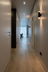 Apartment corridor with loft lamp