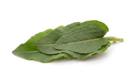 Green plantain leaves.