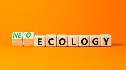 Neo-ecology or ecology symbol. Concept words Neo-ecology or ecology on wooden cubes. Beautiful orange table orange background. Business, ecological neo-ecology or ecology concept. Copy space.