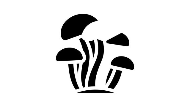 enoki mushroom glyph icon animation