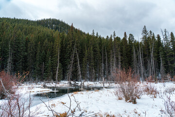 Obraz na płótnie Canvas Sundance Canyon Trail, Banff National Park