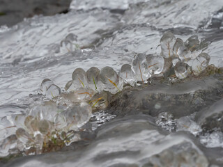 Ice on dry grass after a storm on the lake shore in late autumn