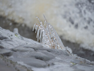 Ice on dry grass after a storm on the lake shore in late autumn